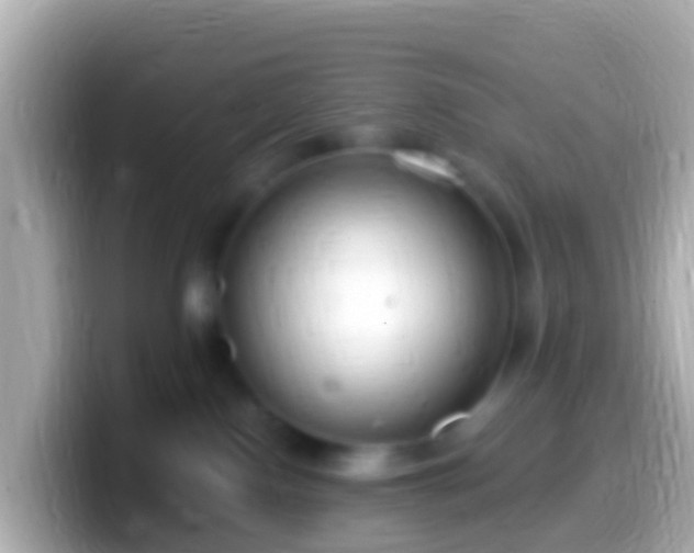 X0000099580090200805231559