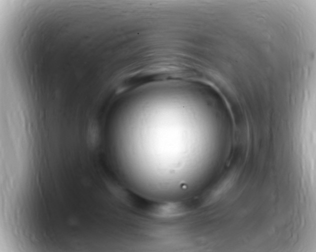 X0000099580092200805231559