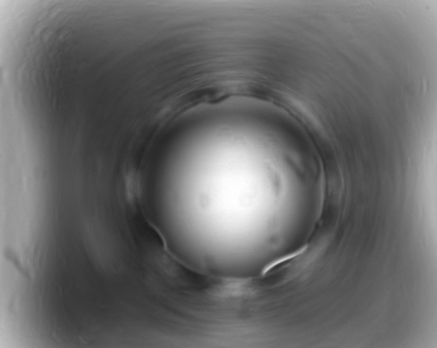 X0000099580093200805231559