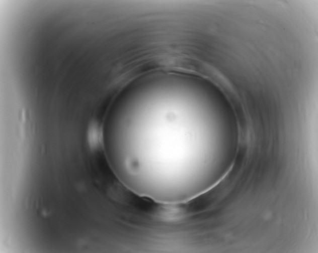 X0000099580095200805231559