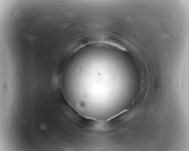 X0000099580096200805231559