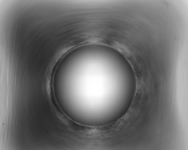 X0000099580098200805231558