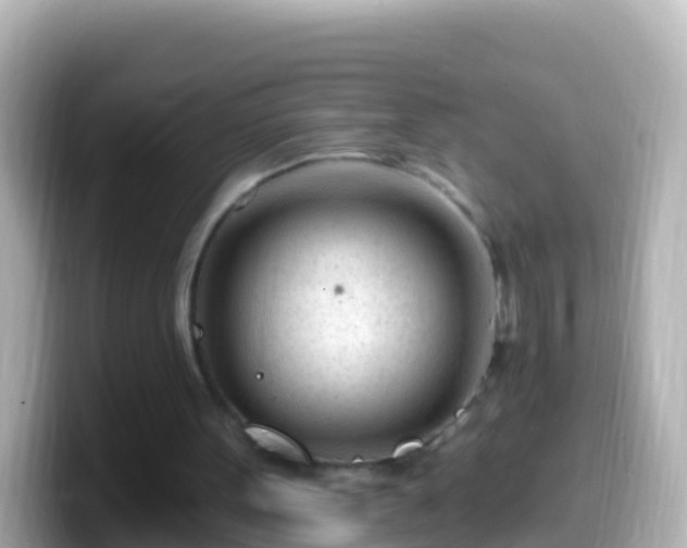 X0000099580099200805231558