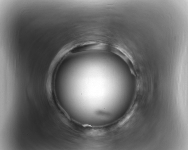 X0000099580101200805231558