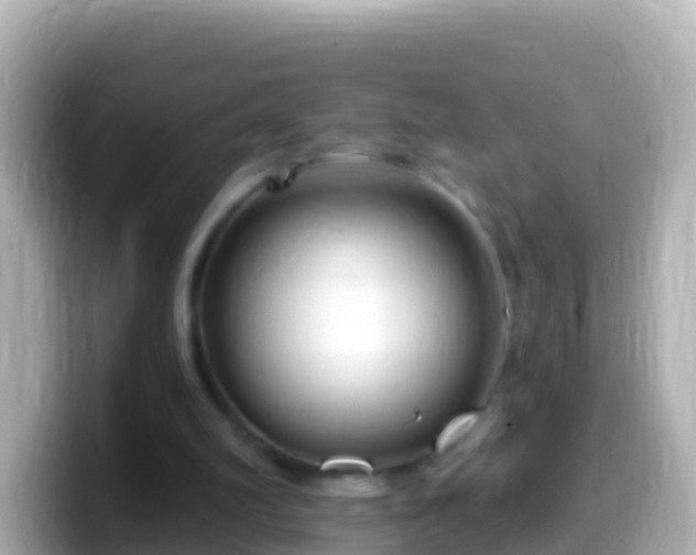 X0000099580102200805231558