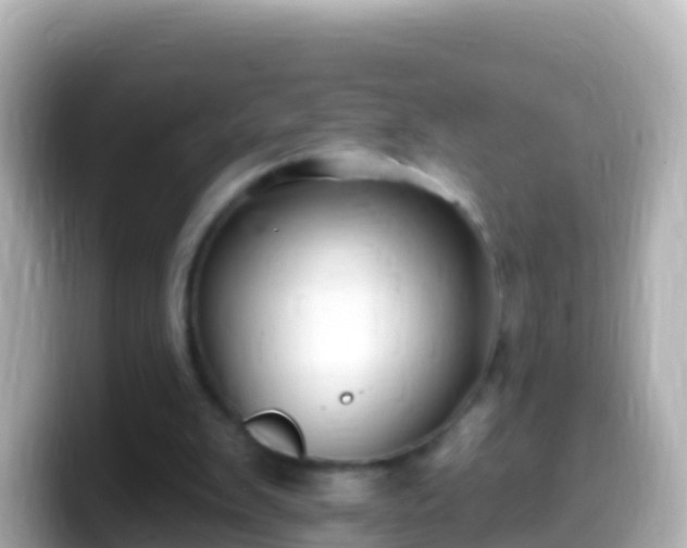 X0000099580103200805231558