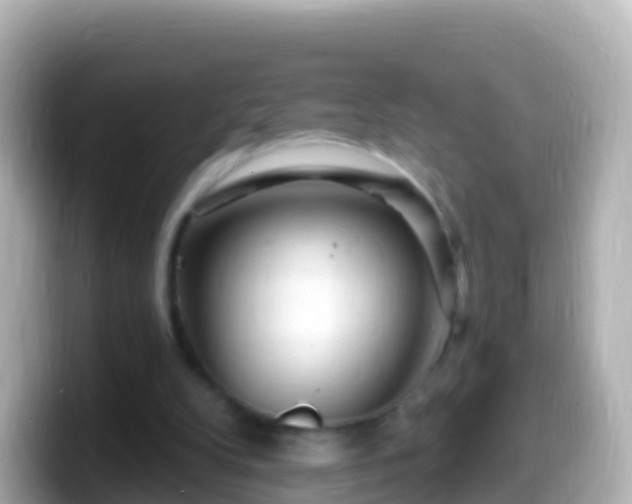 X0000099580104200805231558