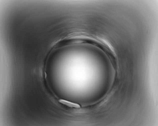 X0000099580105200805231558