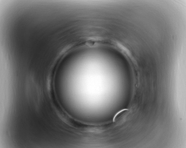 X0000099580106200805231558