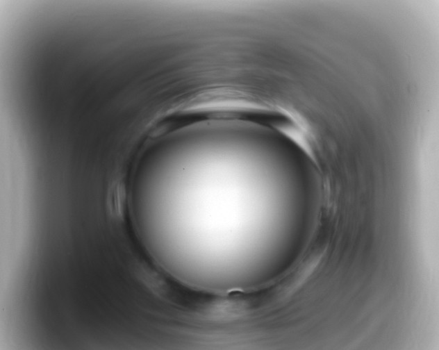 X0000099580109200805231558