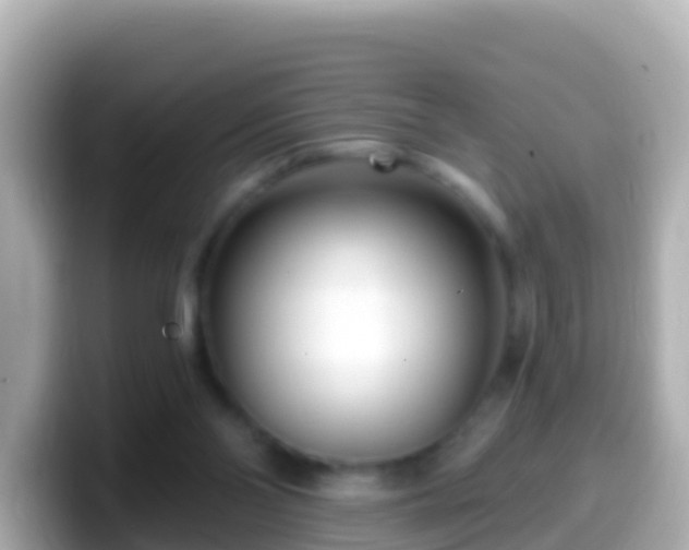 X0000099580110200805231558