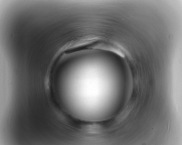 X0000099580112200805231558