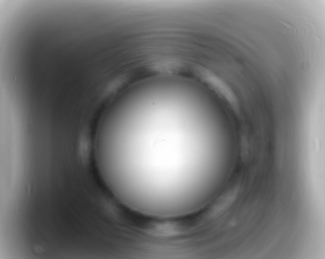 X0000099580113200805231558