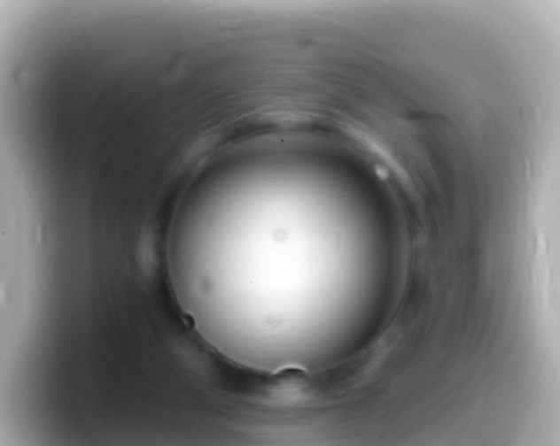 X0000099580114200805231558