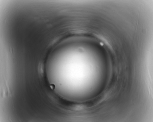 X0000099580115200805231558