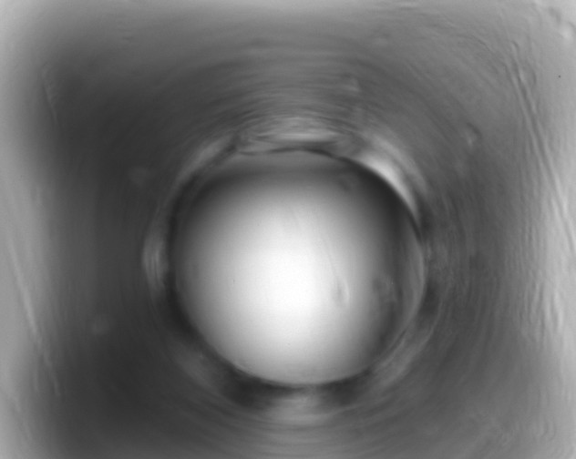 X0000099580116200805231558