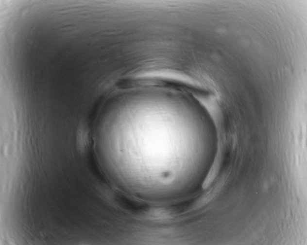 X0000099580117200805231558