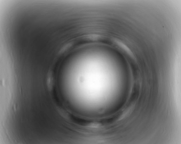 X0000099580119200805231558