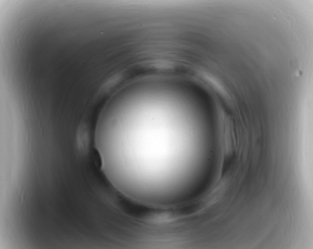 X0000099580120200805231558