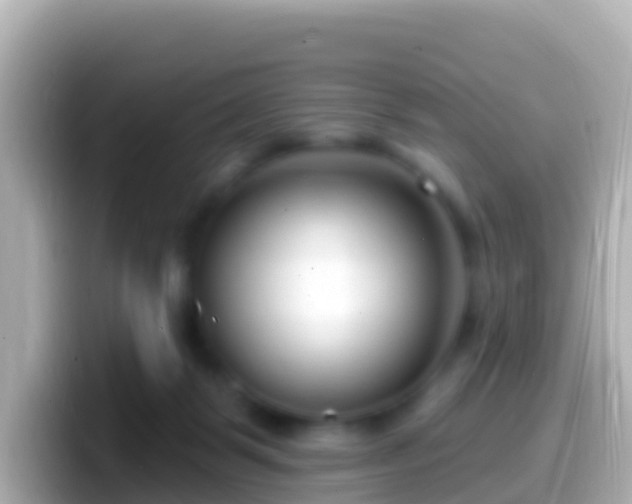 X0000099580123200805231558