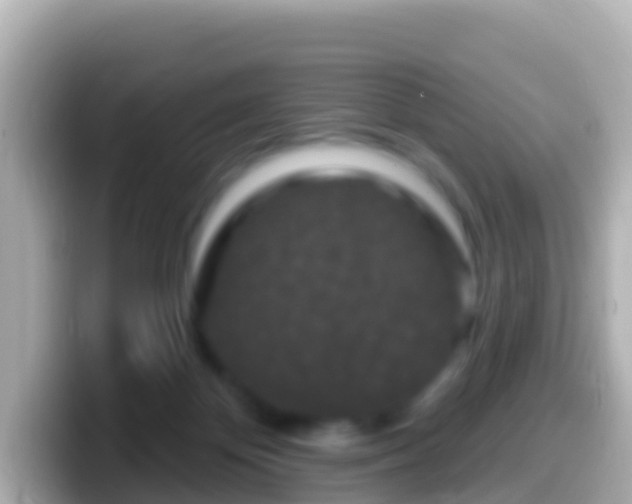 X0000099580124200805231558