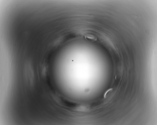 X0000099580126200805231558