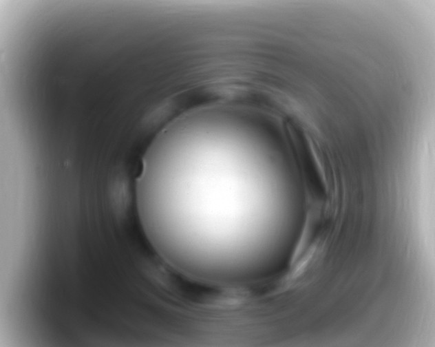 X0000099580128200805231558