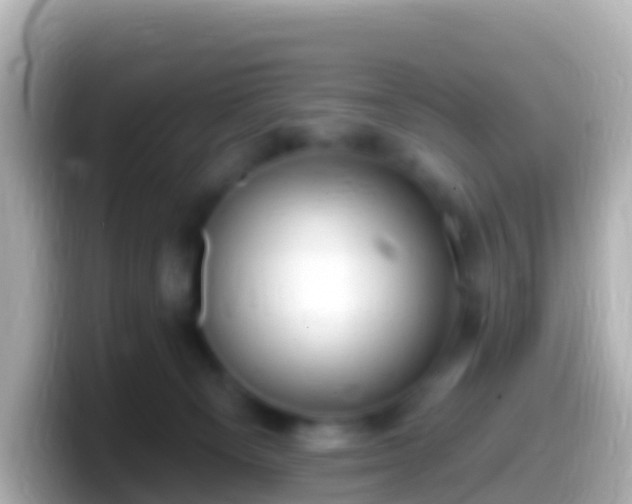 X0000099580129200805231558