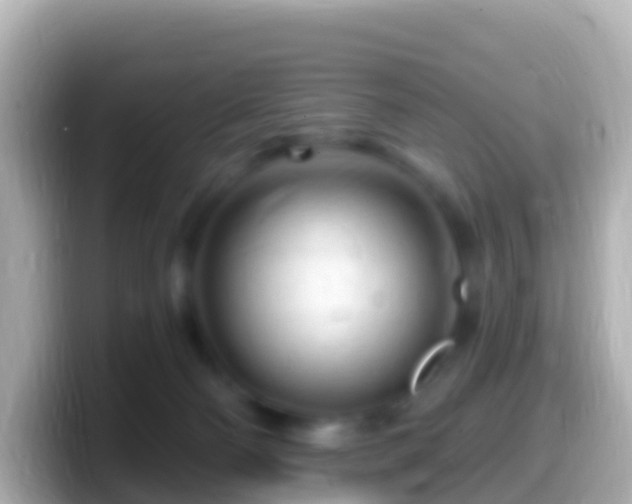 X0000099580130200805231558