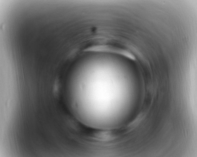 X0000099580132200805231558