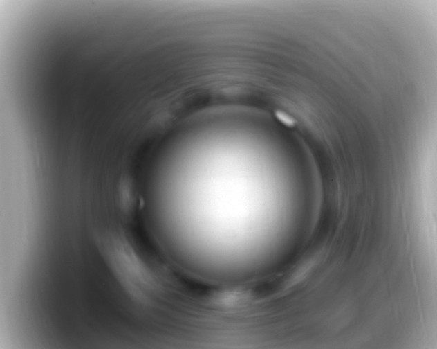 X0000099580135200805231558