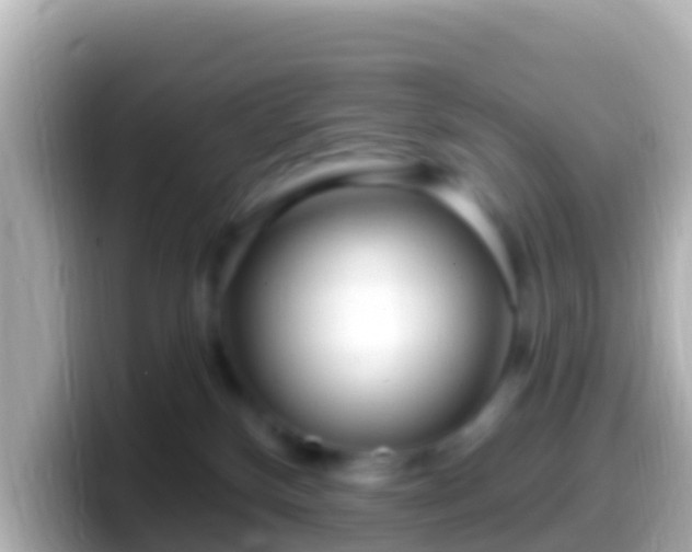 X0000099580136200805231558