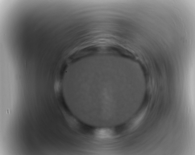 X0000099580137200805231558