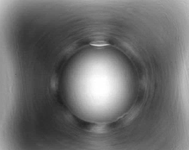 X0000099580138200805231558