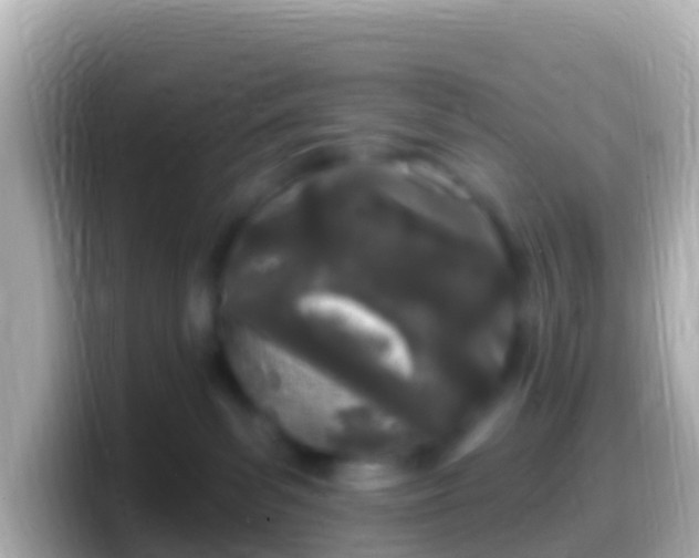 X0000099580139200805231558