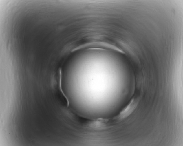 X0000099580140200805231558