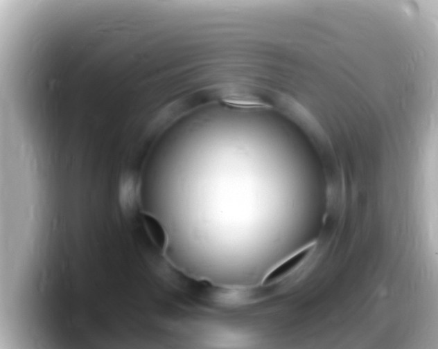 X0000099580142200805231558