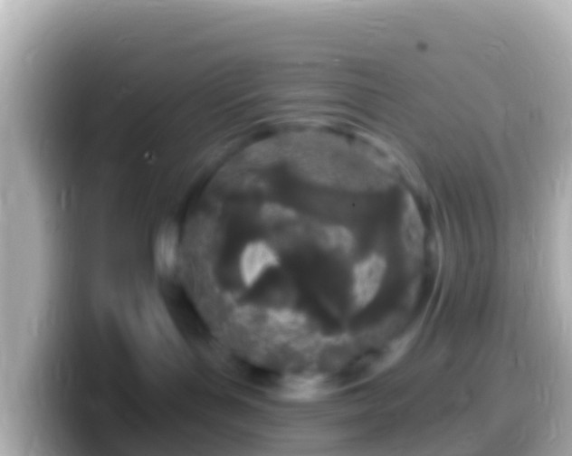 X0000099580143200805231558