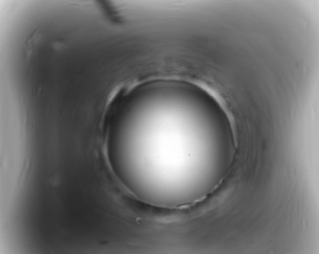 X0000099580144200805231558