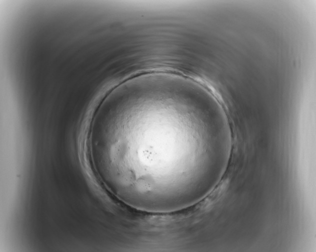 X0000099580145200805231557