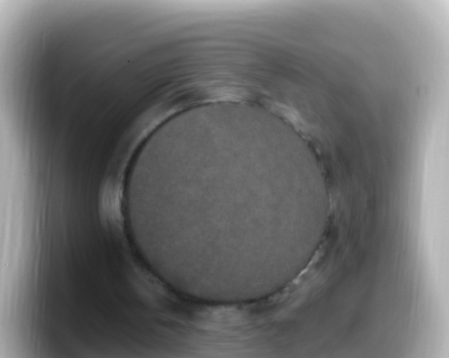 X0000099580146200805231557