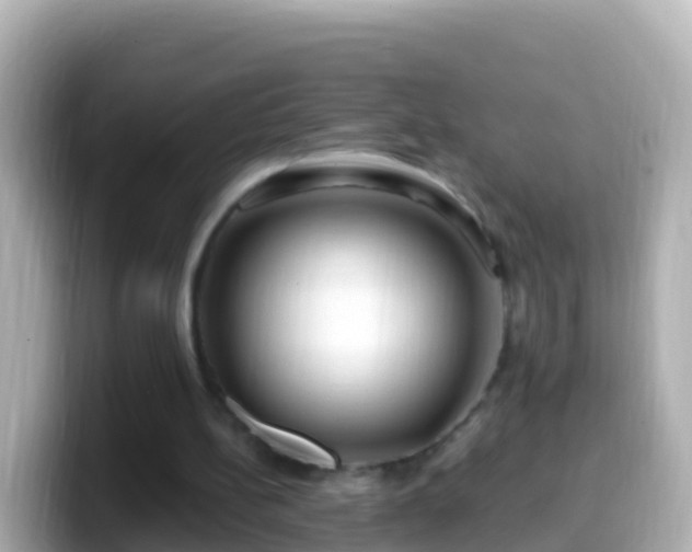 X0000099580148200805231557