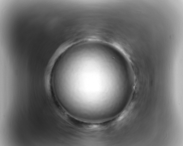 X0000099580151200805231557