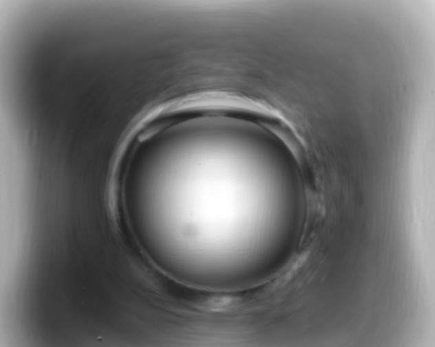 X0000099580152200805231557