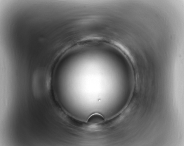 X0000099580153200805231557