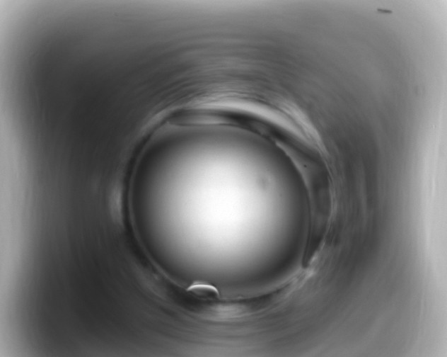 X0000099580154200805231557