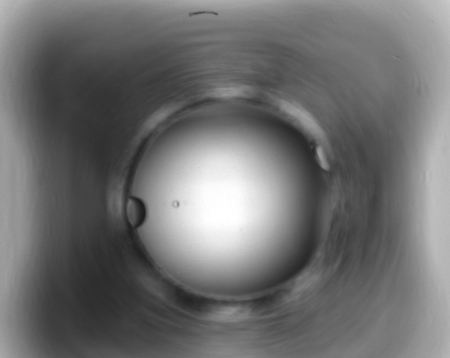 X0000099580155200805231557