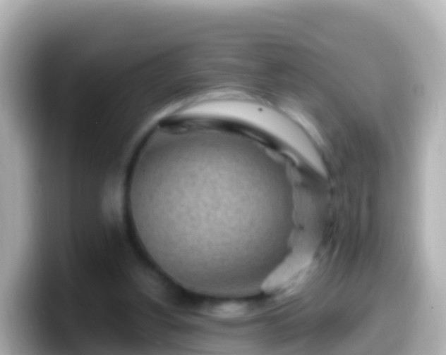 X0000099580156200805231557