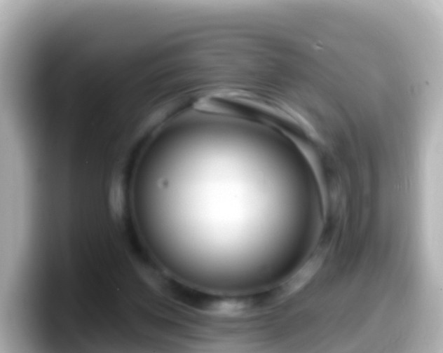 X0000099580158200805231557