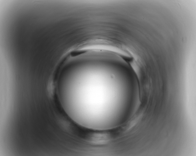 X0000099580160200805231558